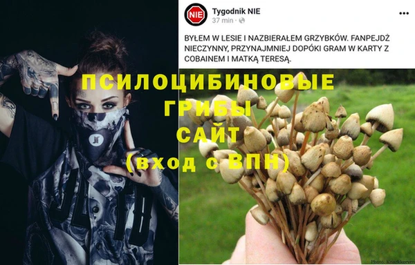 трава Абаза