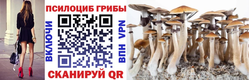 даркнет состав  Югорск  Галлюциногенные грибы Cubensis  наркота 